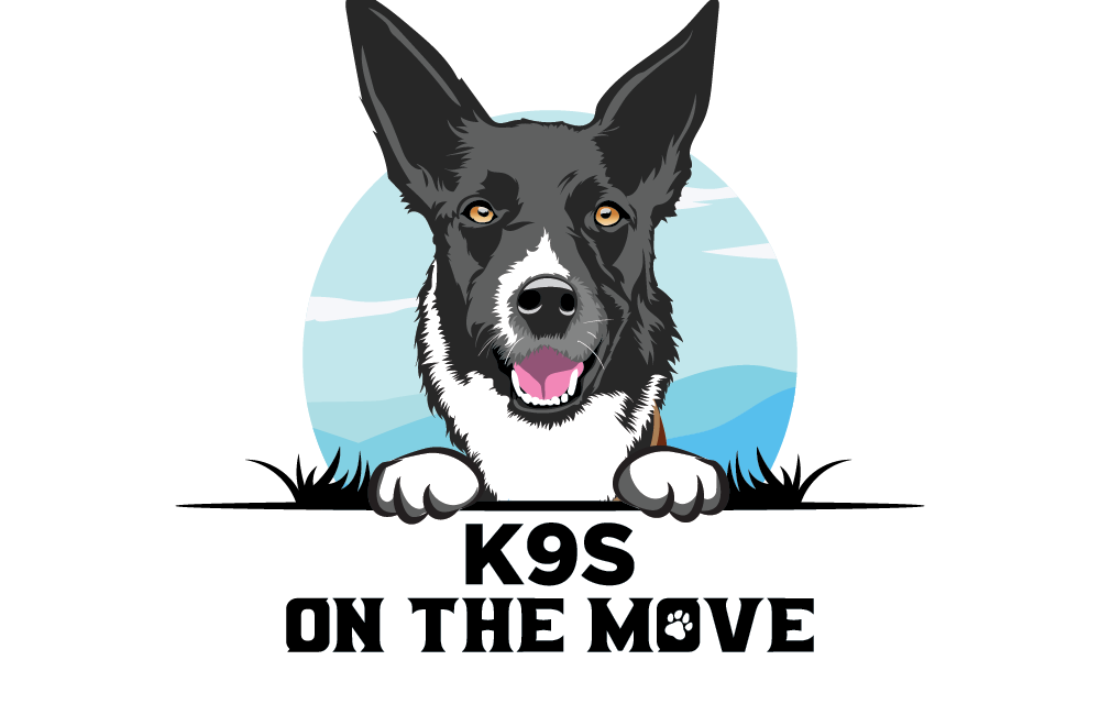 Best cat dog logo design (3)