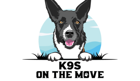 Best cat dog logo design (3)