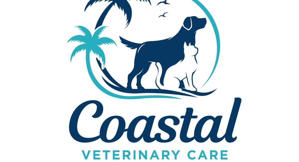 Why a Modern Animal or Veterinary Logo Is Essential for Your Pet Care Brand