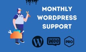 I Will Provide WordPress Maintenance, Support, and Help