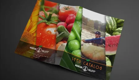I will create catalog design, product catalog flyer, brochure