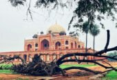 Discover India’s Rich Heritage: Golden Triangle Tour in 4 Days