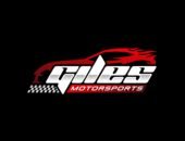 Professional racing car and automotive logo