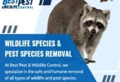 Best Pest & Wildlife Control