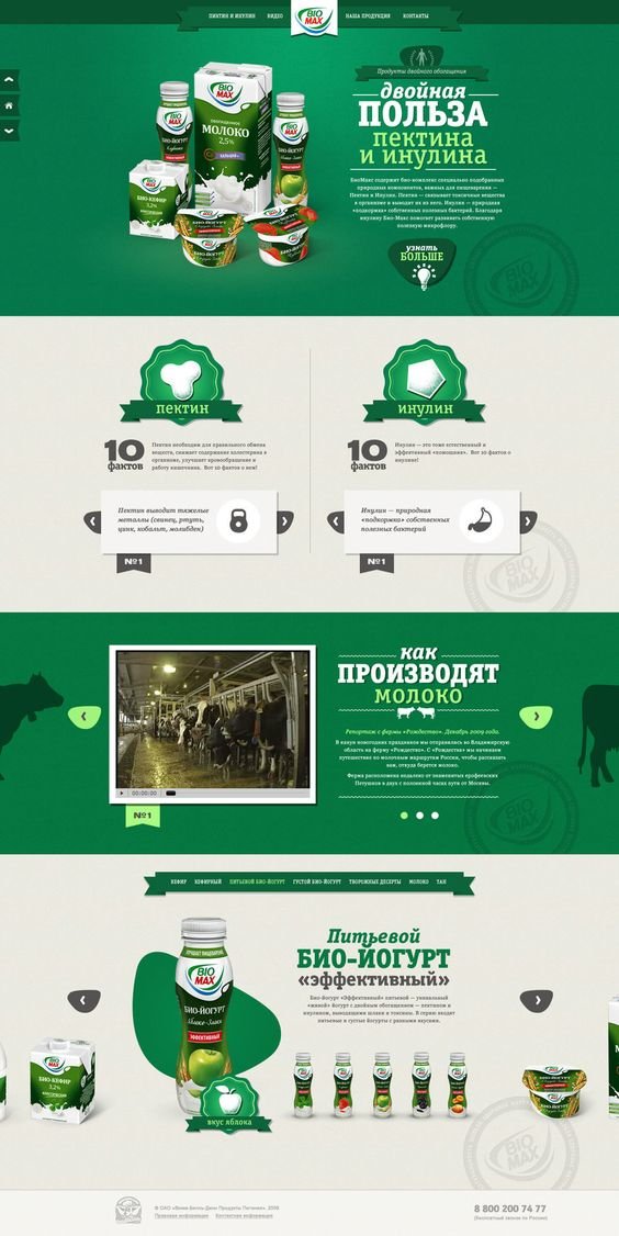 Build wordpress website, business, website design