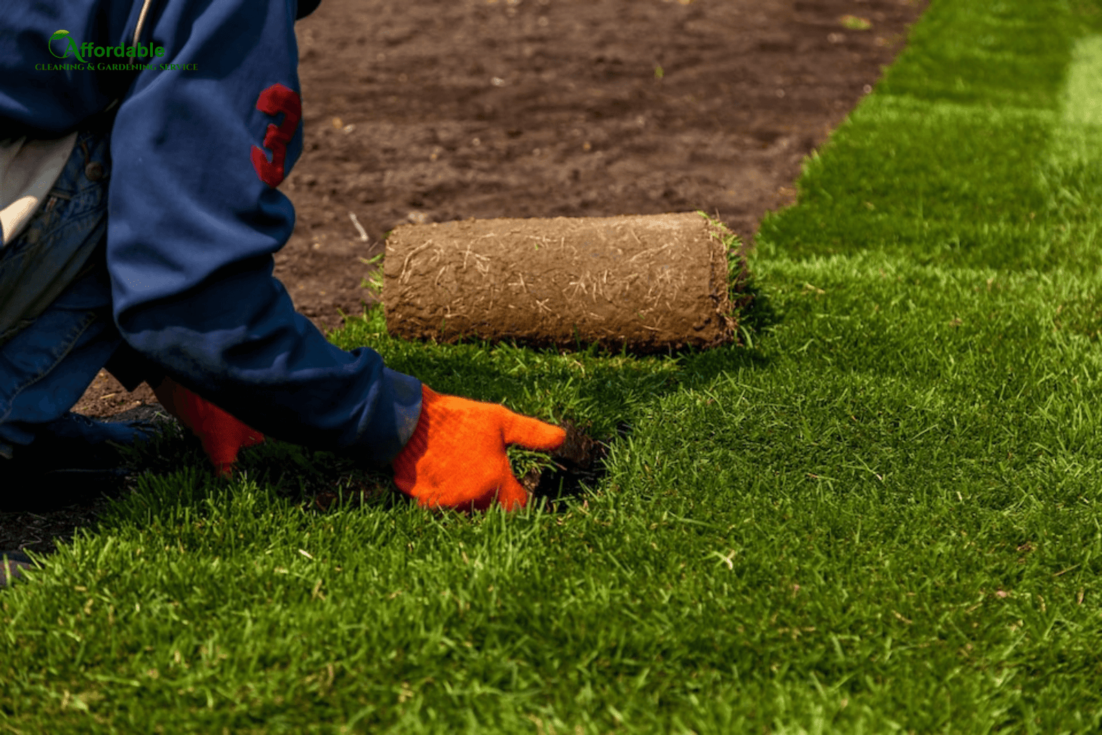 Mastering Lawn Care: A New Homeowner’s Essential Guide