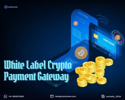 Affordable-White-Label-Crypto-Payment-Gateway-for-Startups