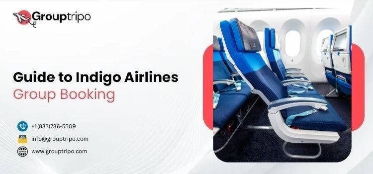 Save More with Indigo Airlines Group Booking Deals