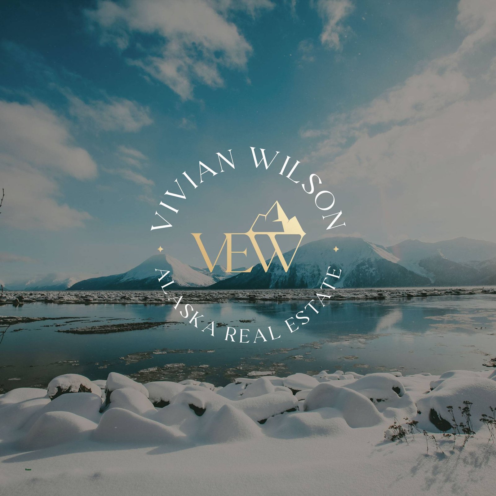 Create professional minimalist business logo