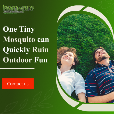 Lawn-Pro Lawncare Service