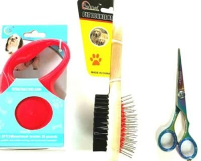 Untitled-design-26-2