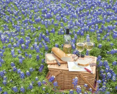 Wineries-in-Texas-Hill-Country