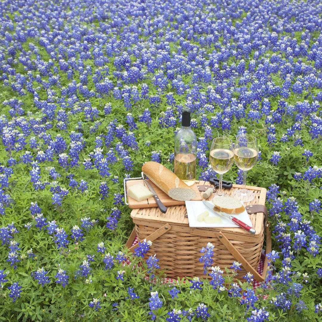 Wineries in Texas Hill Country