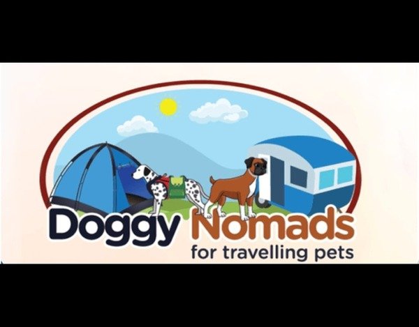 Flexible Pet Daycare Solutions for Busy Pet Owners