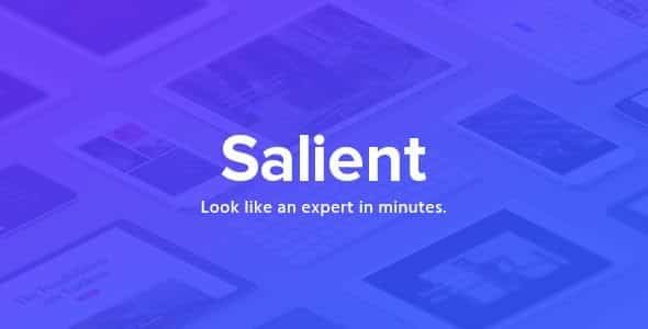 Salient – Responsive Multi Purpose Theme