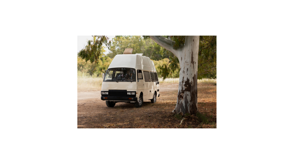 Mysore Travelo – Your Trusted Travel Partner in Mysore for 15+ Years