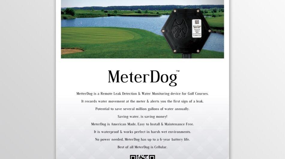 I-wiil-do-custom-order-related-to-graphic-design-work-5