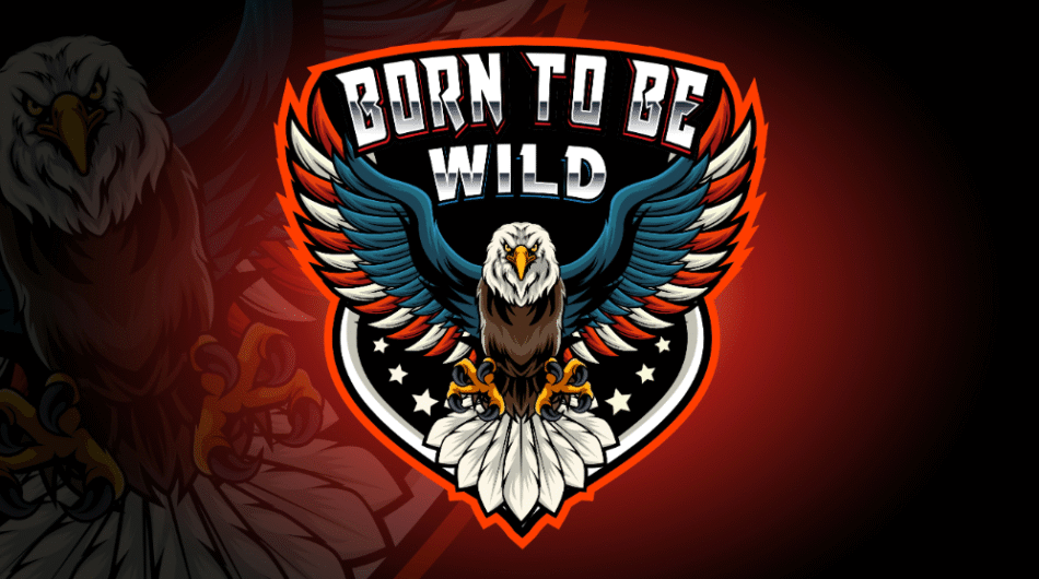 I-will-design-a-unique-sports-mascot-esports-and-gaming-logo-1