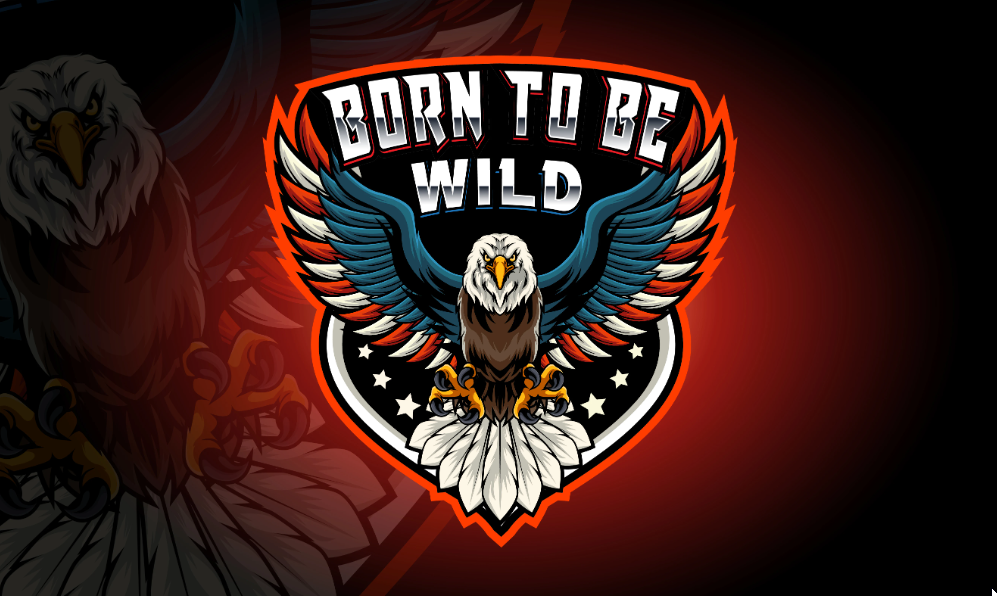 I will design a unique sports, mascot, esports and gaming logo