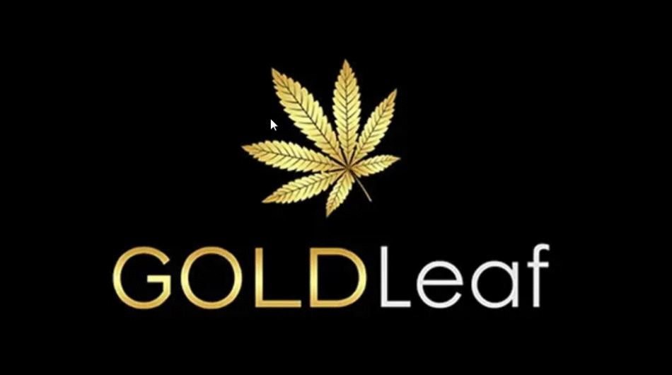 I-will-design-modern-cannabis-cbd-weed-marijuana-cannabis-logo-2