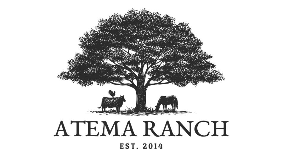 I-will-design-professional-pet-and-farm-animal-logo-for-you-5