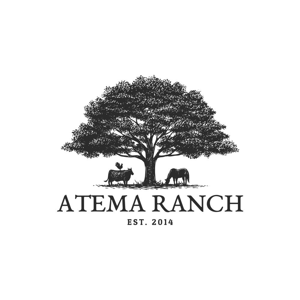 Specialize in creating custom pet and farm animal logo