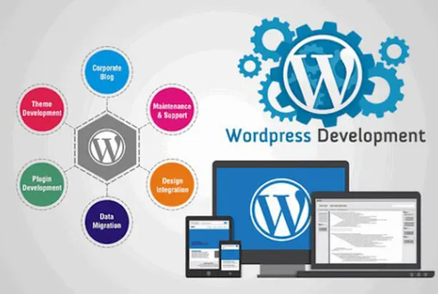 I will customize your wordpress website or develop a plugin