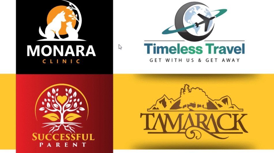 I-will-do-modern-custom-logo-design-for-your-brand-in-24hrs-2