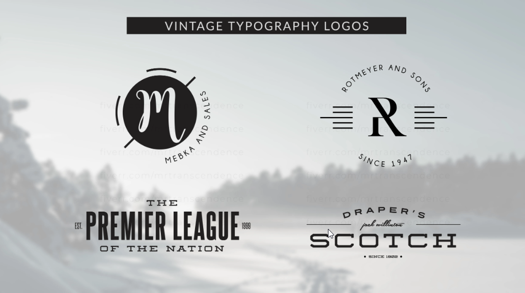 I will do modern minimalist business logo design