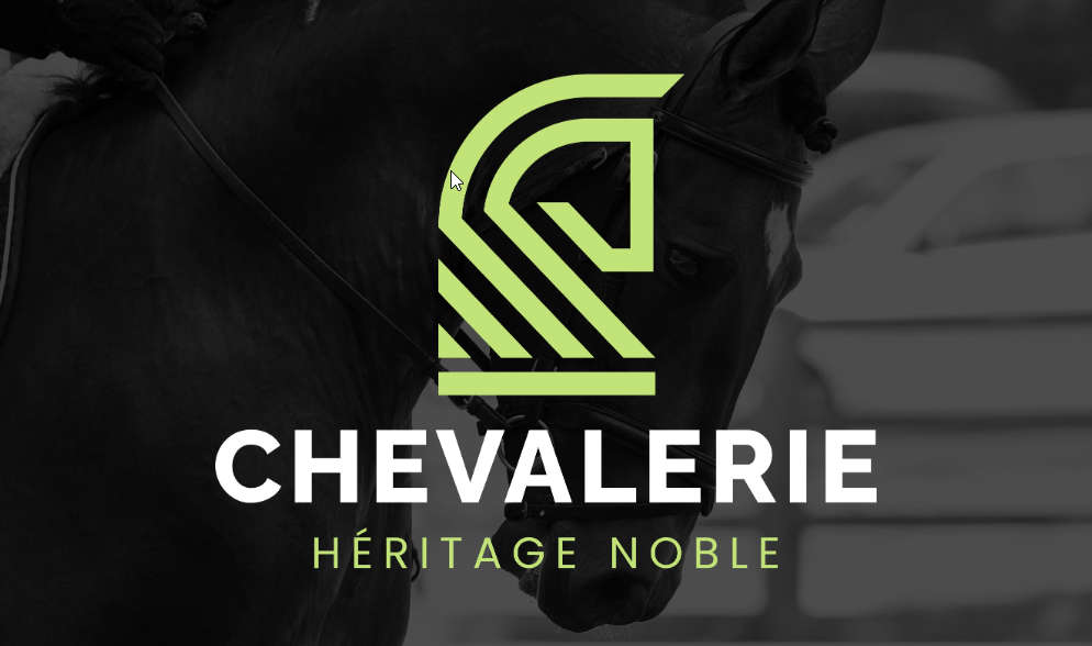 I will do modern text based minimalist logo design