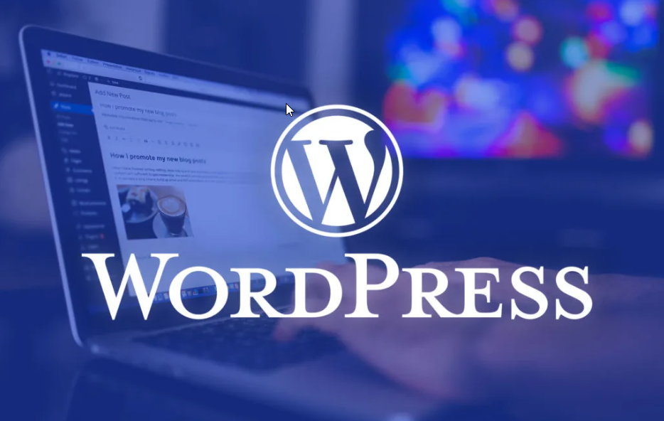 I will install wordpress theme and plugin, wordpress theme customization