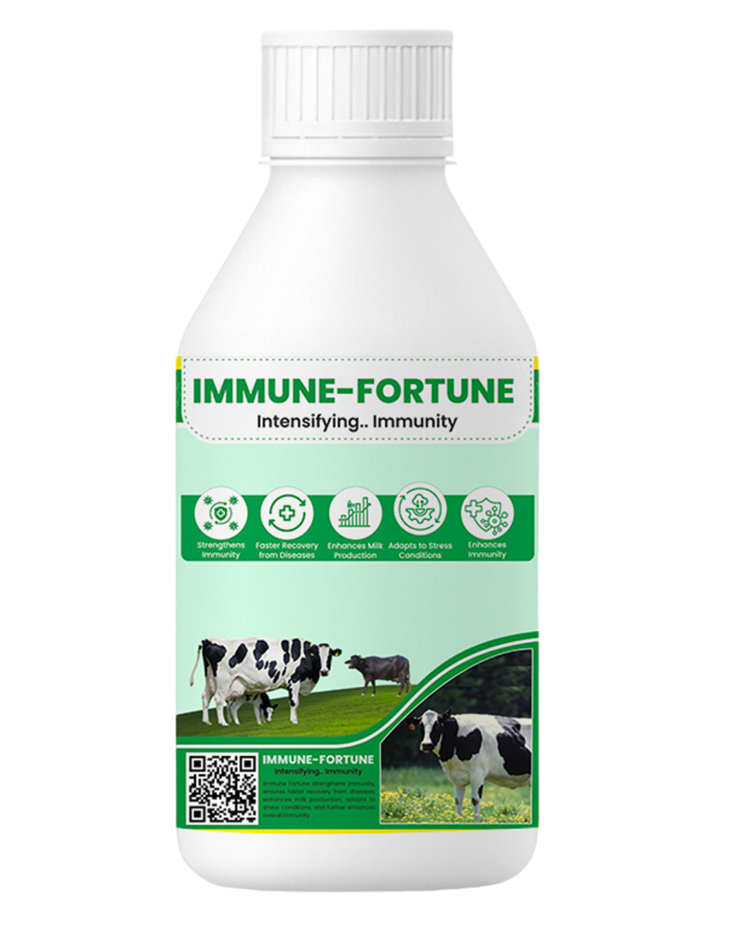 Natural Cattle Disease Prevention | Immune Fortune