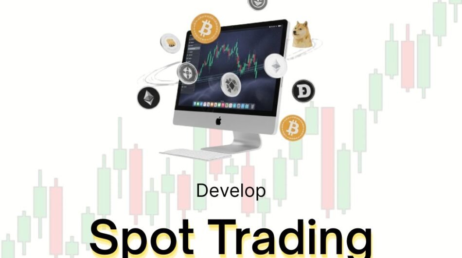 promotional-image-Maticz