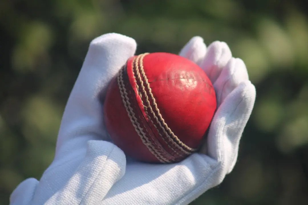 Find Live T20 Matches, Scores and Updates All In One Place