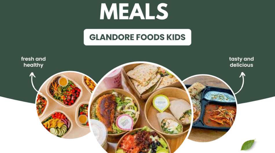 Fresh Kids Food Service – Glandore Foods Dublin