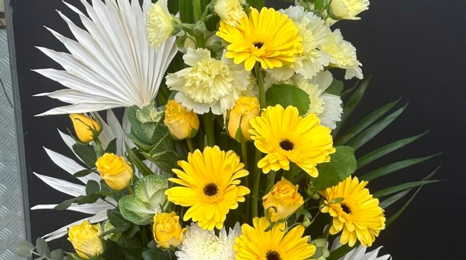 Elegant and Affordable Flowers Living Flowers Watsonia Florist