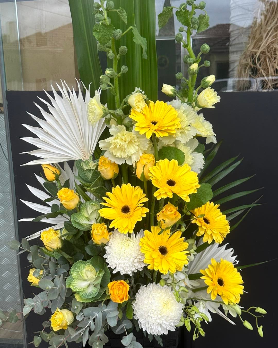 Elegant and Affordable Flowers Living Flowers Watsonia Florist
