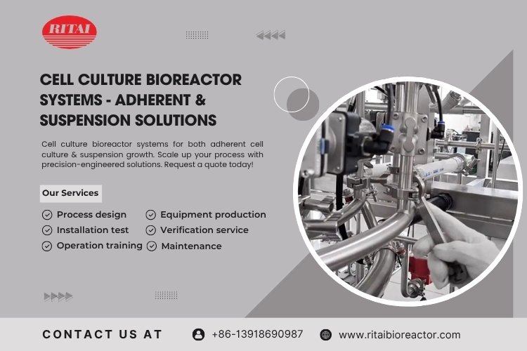 Cell-Culture-Bioreactor-Systems-Adherent-Suspension-Solutions