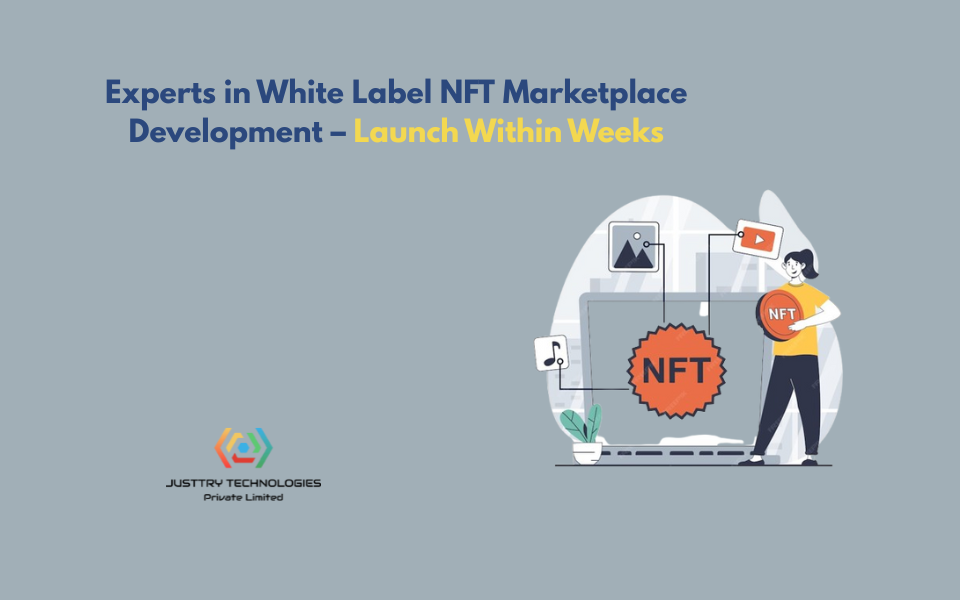 Experts in White Label NFT Marketplace Development – Launch Within Weeks