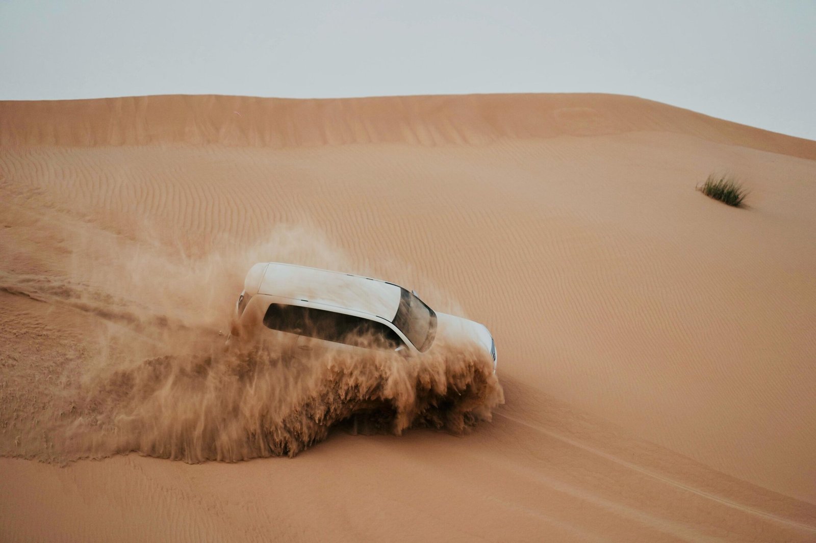 Best Desert Safari in Abu Dhabi by Extreme Tourism LLC