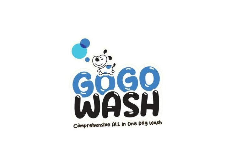 GOGO-Wash-Logo