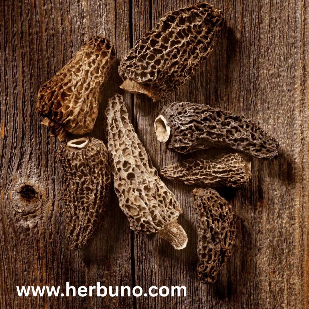 Herbuno Dehydrated Morel Mushrooms – Gourmet Flavor & Aroma