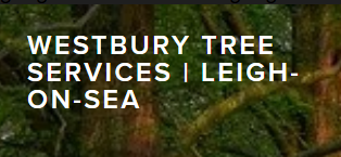 Westbury-Tree-Services