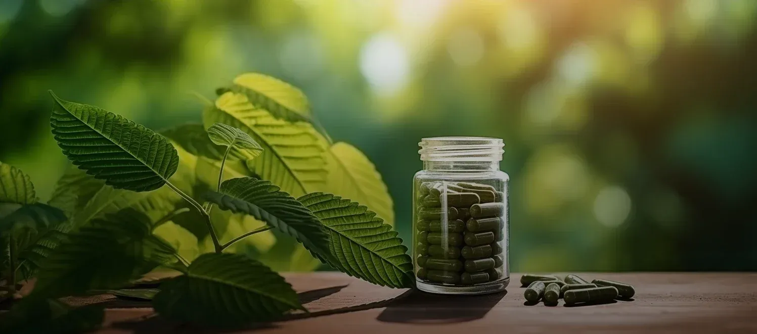 Trusted Kratom Brands Online | Zenhop