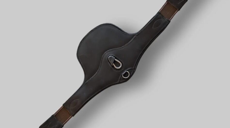Leather Girth with Belly Guard CanterCart Collection