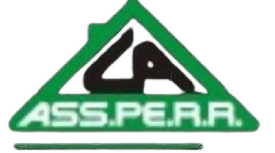 logo__13_-removebg-preview-1