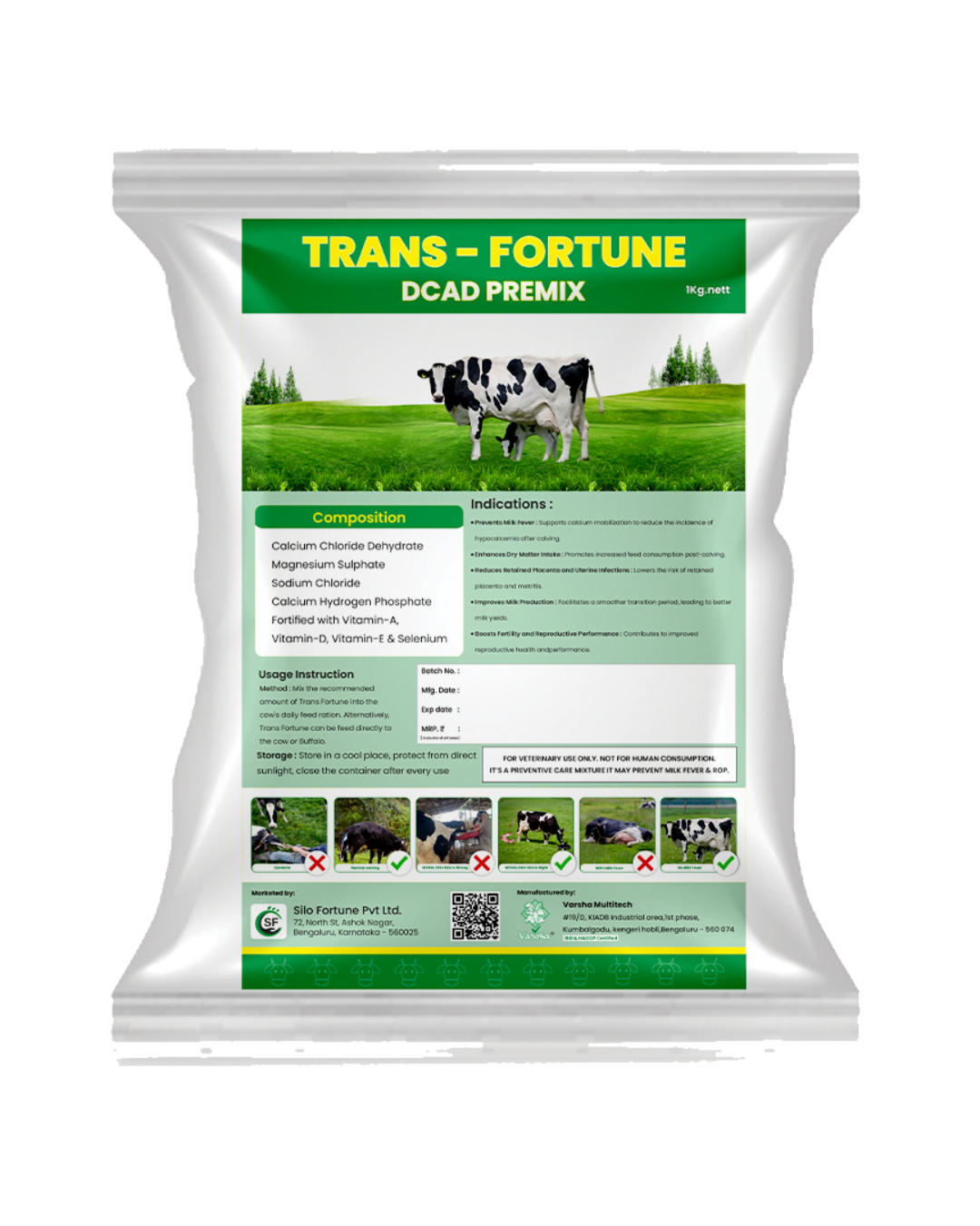 Trans Fortune – Best Supplement for Post-Calving Recovery