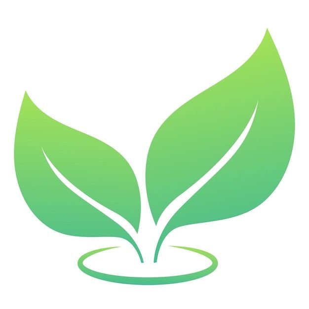 Legal Kratom Shipping | Buy Kratom Online Safely
