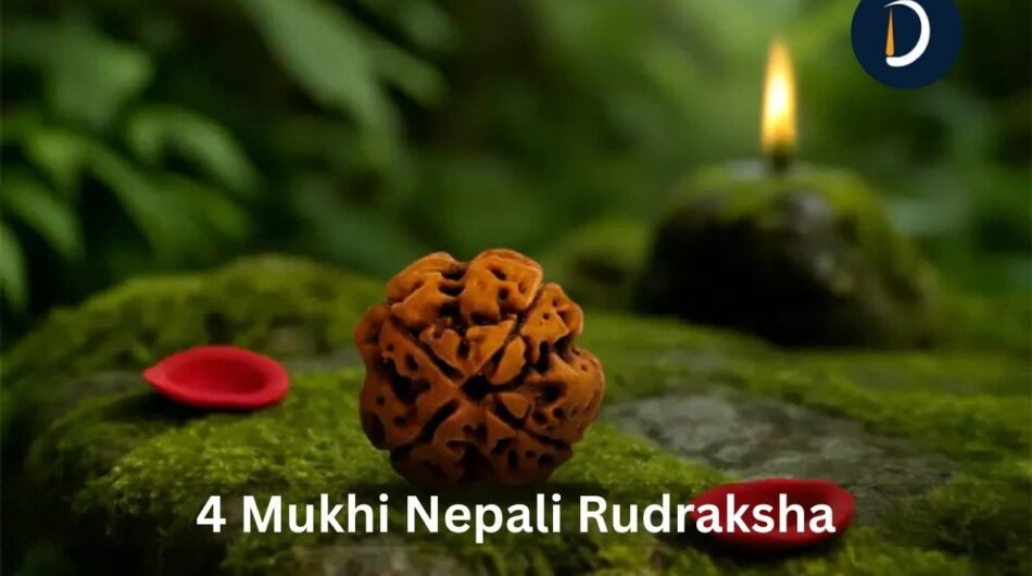 4-Mukhi-Nepali-Rudraksha