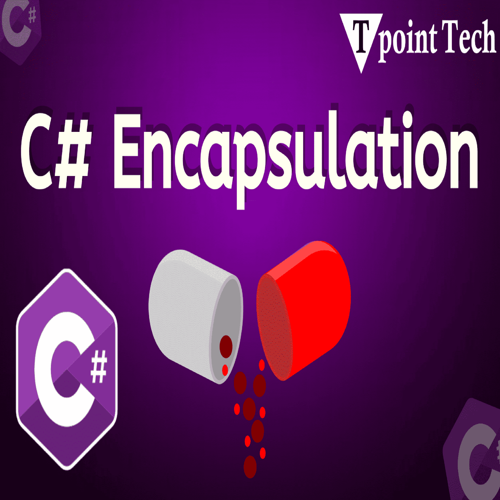 C# Encapsulation